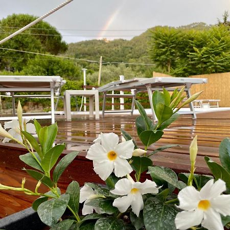 Impronte Nel Bosco Bed & Breakfast Calice al Cornoviglio Dış mekan fotoğraf